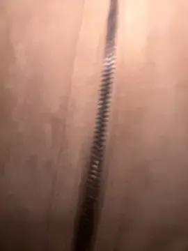 FroggyAnna from StripChat